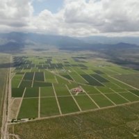Bespoke Winery in Argentina - Wine Paths